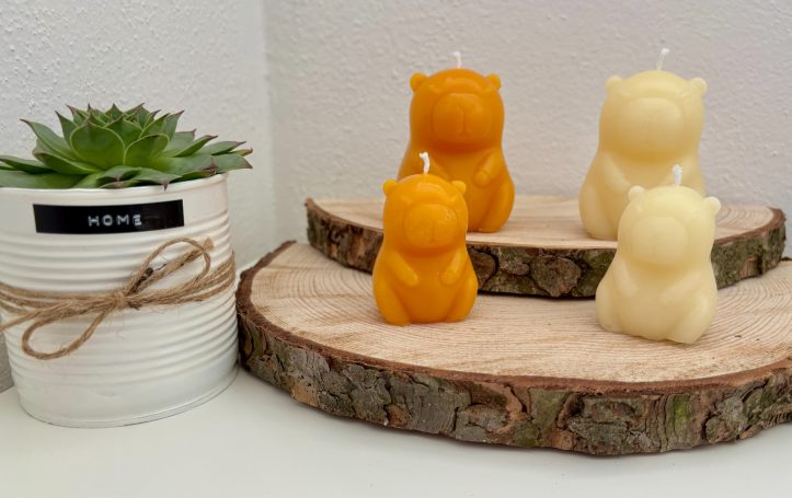 Capybara - oder Wasserscheinkerzen Capybara - oder Wasserscheinkerzen